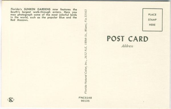 Backside of Sunken Gardens Parrots Florida Natural Color Postcard
