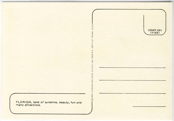 Backside of Greetings From Florida Natural Color Postcard